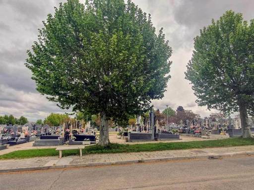 cementerio-mostoles17